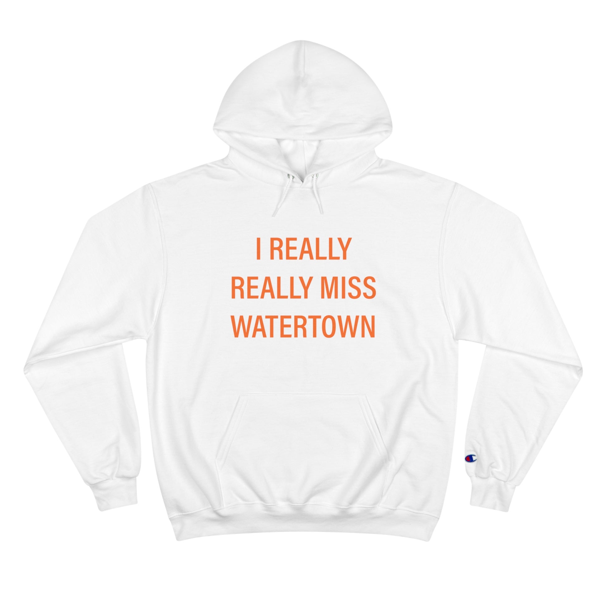 I really really miss watertown // watertown connecticut unisex hoodie sweatshirt // finding connecticut