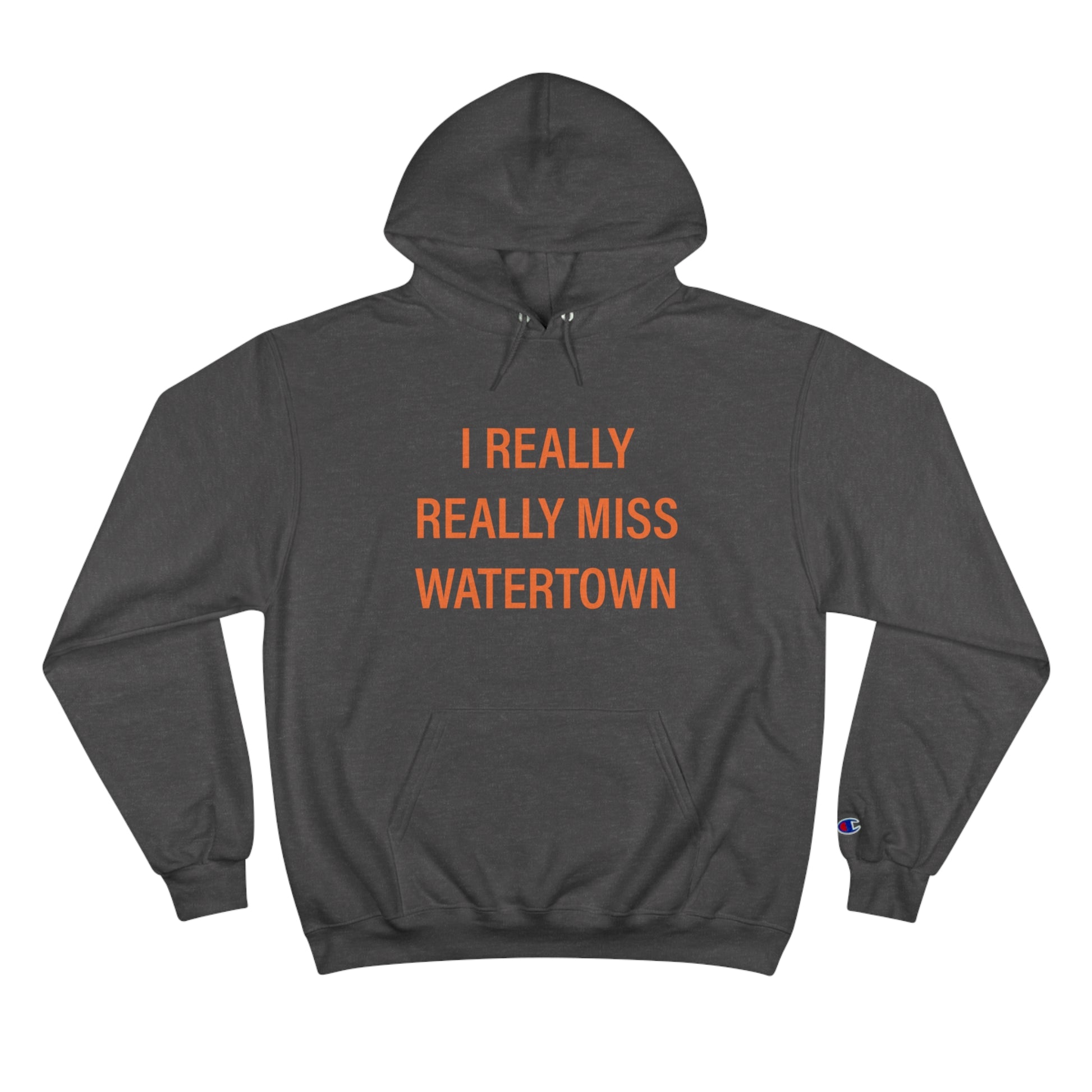 I really really miss watertown // watertown connecticut unisex hoodie sweatshirt // finding connecticut