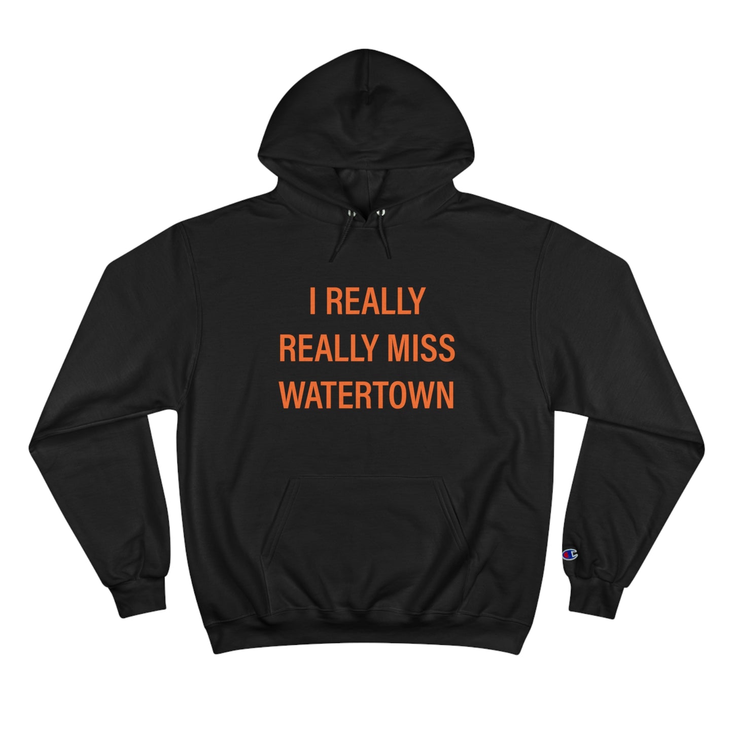 I really really miss watertown // watertown connecticut unisex hoodie sweatshirt // finding connecticut
