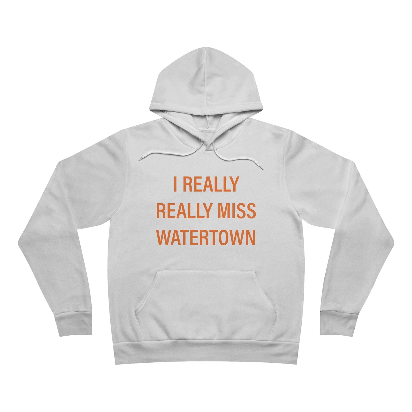 I really really miss watettown // watertown Connecticut unisex hoodies // finding connecticut