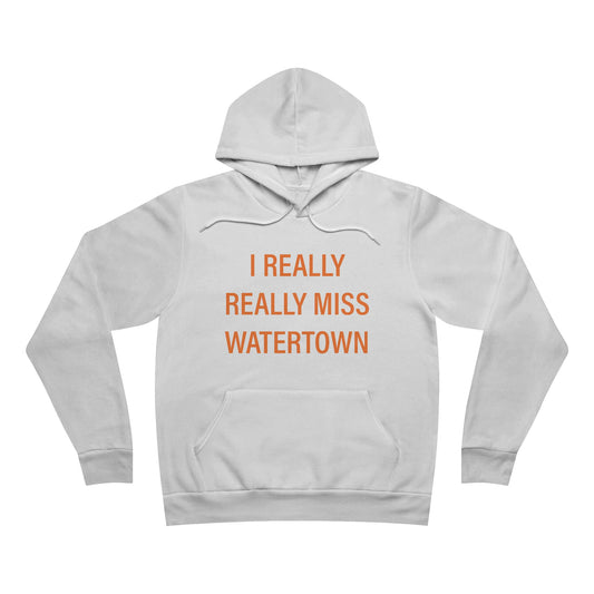 I really really miss watettown // watertown Connecticut unisex hoodies // finding connecticut