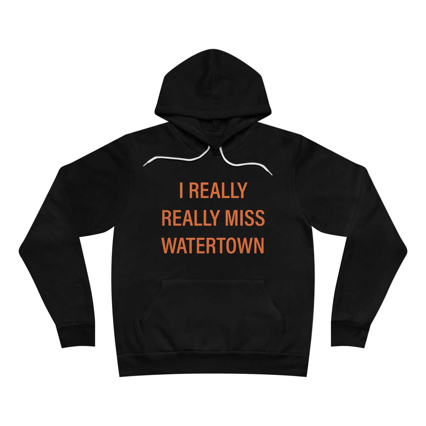 I really really miss watettown // watertown Connecticut unisex hoodies // finding connecticut