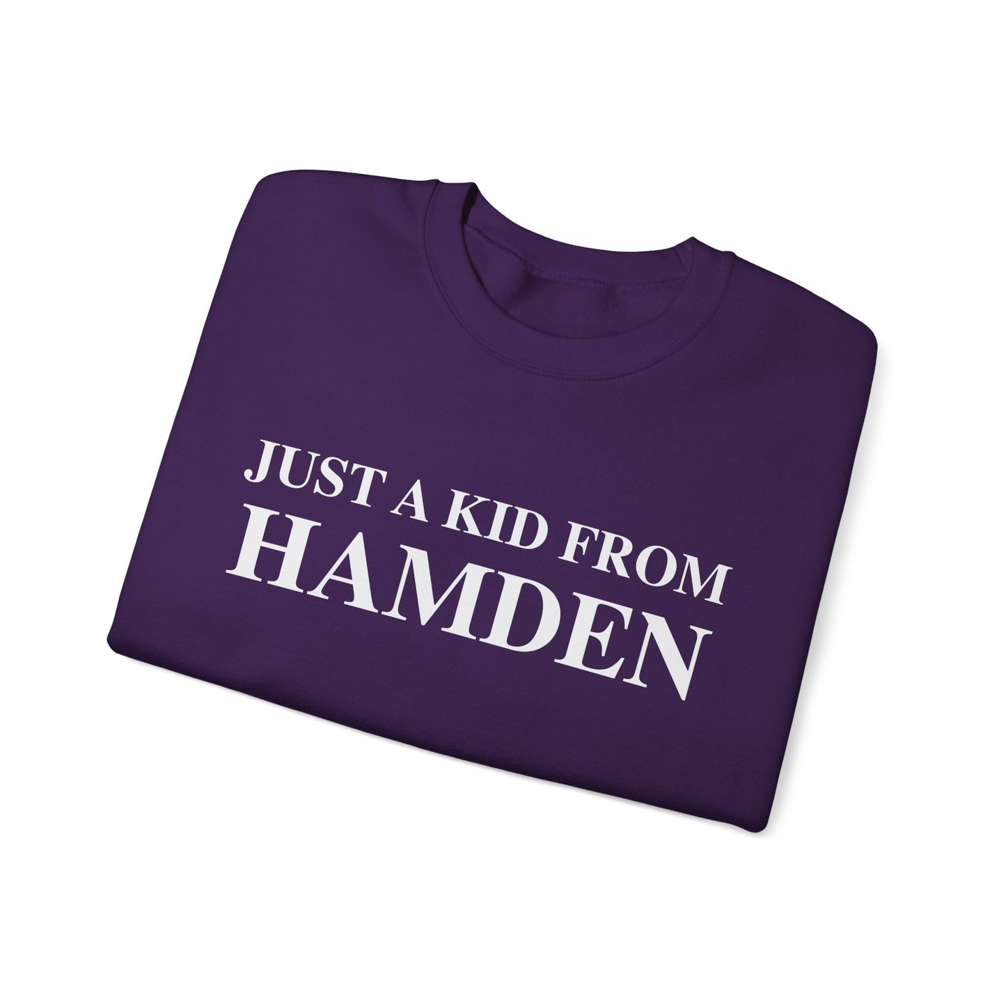 Just a kid from hamden // hamden CT sweatshirts // finding connecticut