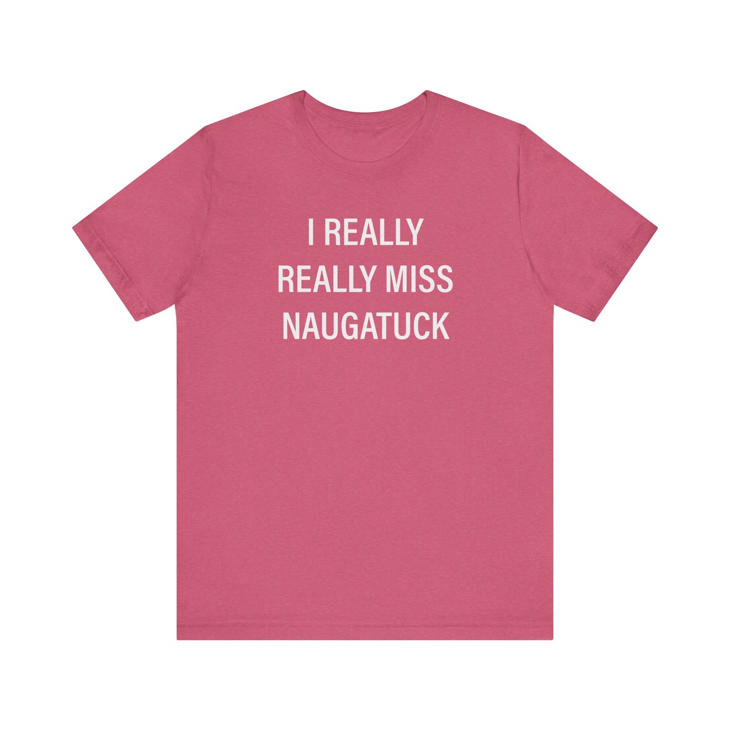 i really really miss naugatuck // naugatuck ct unisex t shirts // finding connecticut
