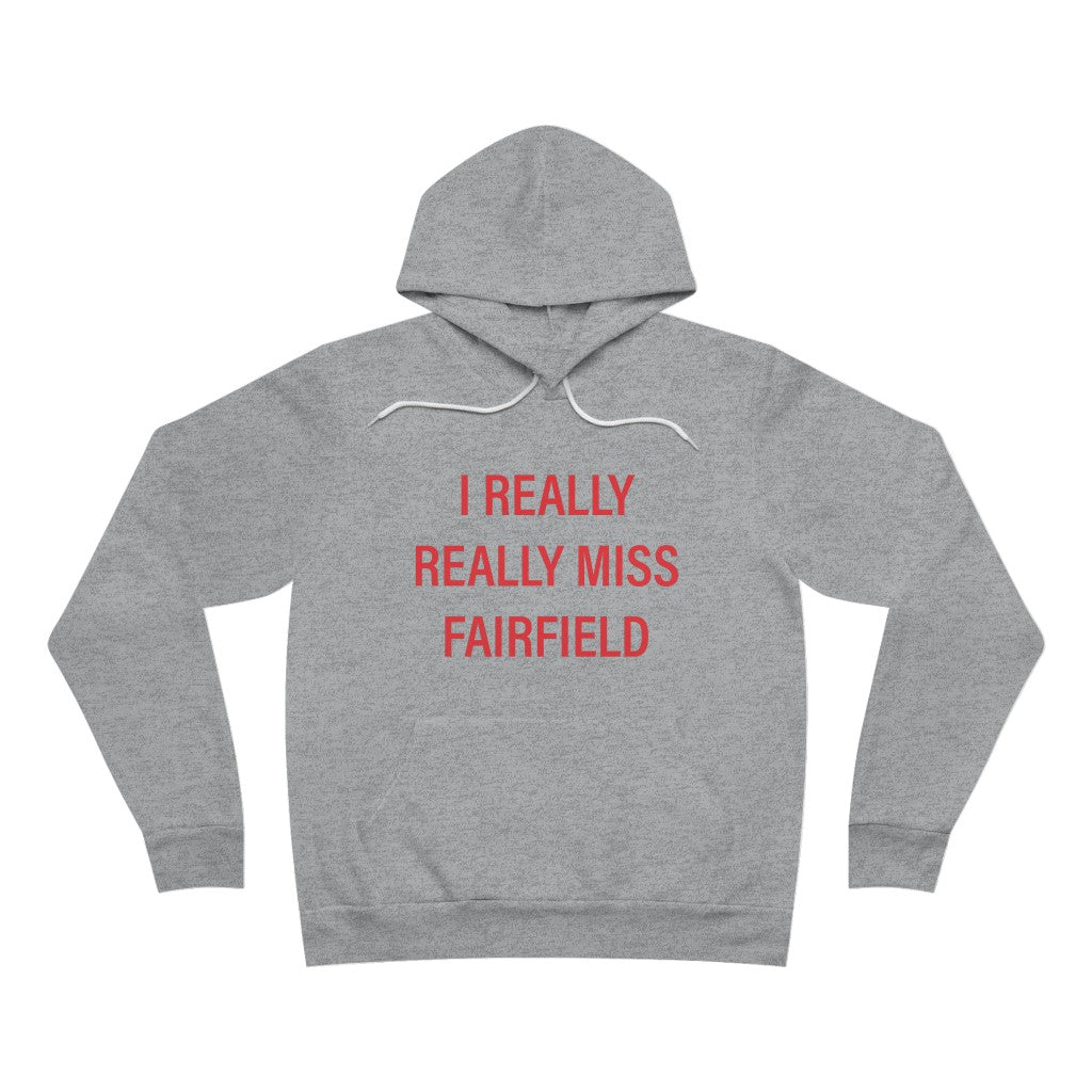 i really really miss fairifeld ct hooded sweatshirt, hoodie