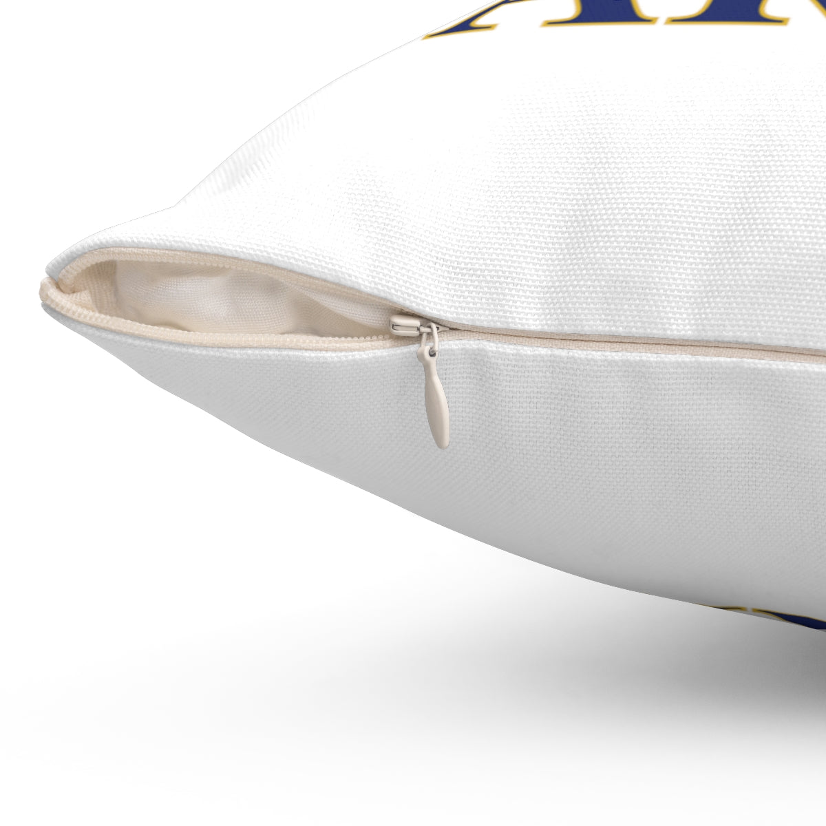 203 Darien Spun Polyester Square Pillow