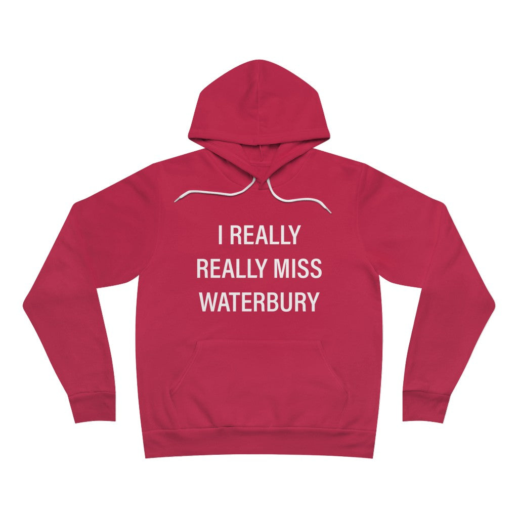 I Really Really Miss Waterbury Unisex Sponge Fleece Pullover Hoodie