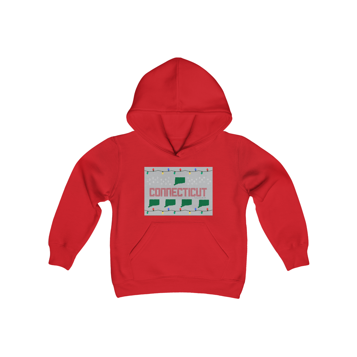 connecticut youth hooded sweatshirt