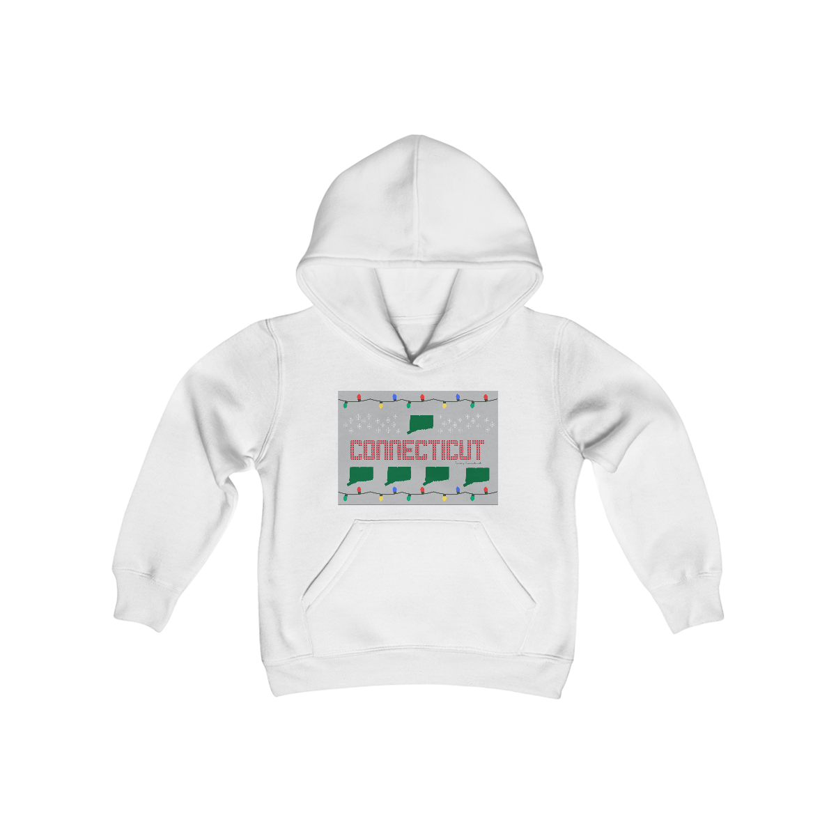 ct youth hooded sweatshirt