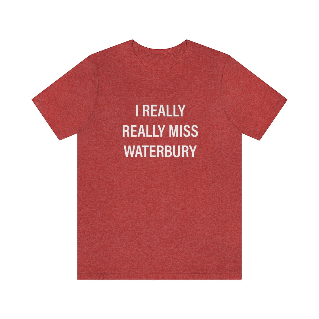 I Really Really Miss Waterbury Unisex Jersey Short Sleeve Tee