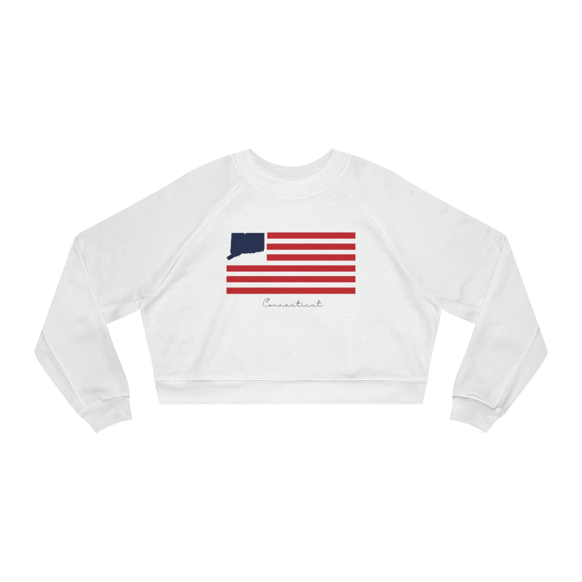 Ct / connecticut womens sweatshirt