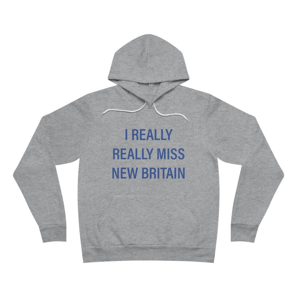 I really really miss new britain // new britain connecticut unisex sweatshirt // finding conneticut