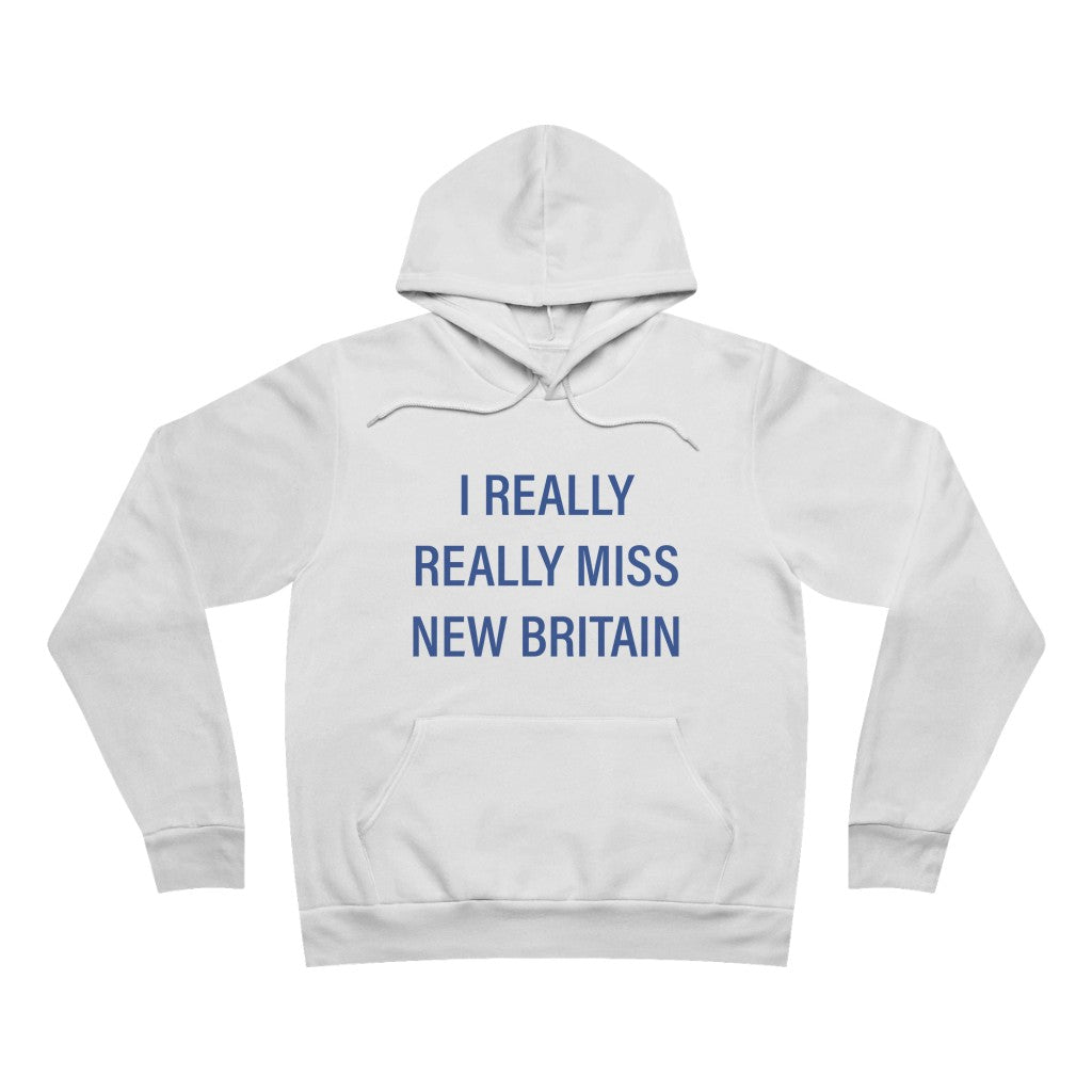 I really really miss new britain // new britain connecticut unisex sweatshirt // finding conneticut
