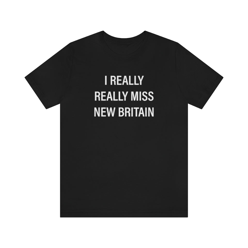 I really really miss new britain // new britain ct unisex t shirt // finding connecticut