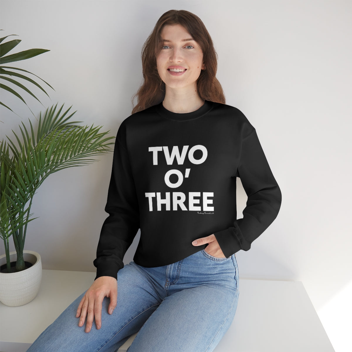 Two oh three / Two O' three / 203 sweatshirt // Connecticut by finding Connecticut