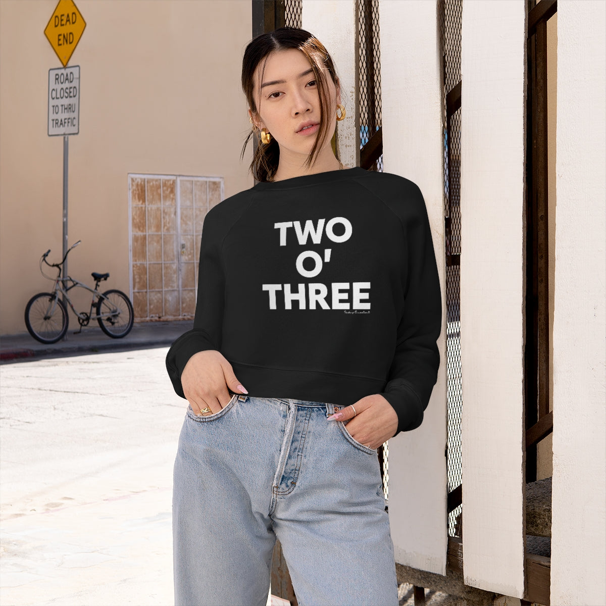 Two oh three / Two O' three / 203 womens cropped sweatshirt // Connecticut by finding Connecticut