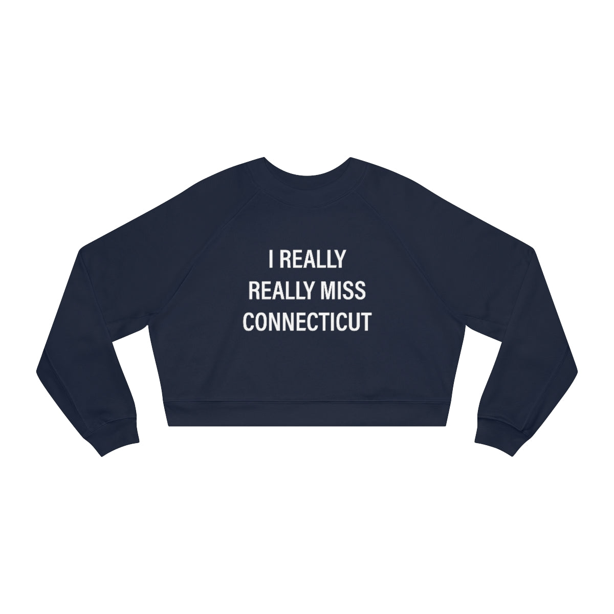 ct / connecticut womens sweatshirt