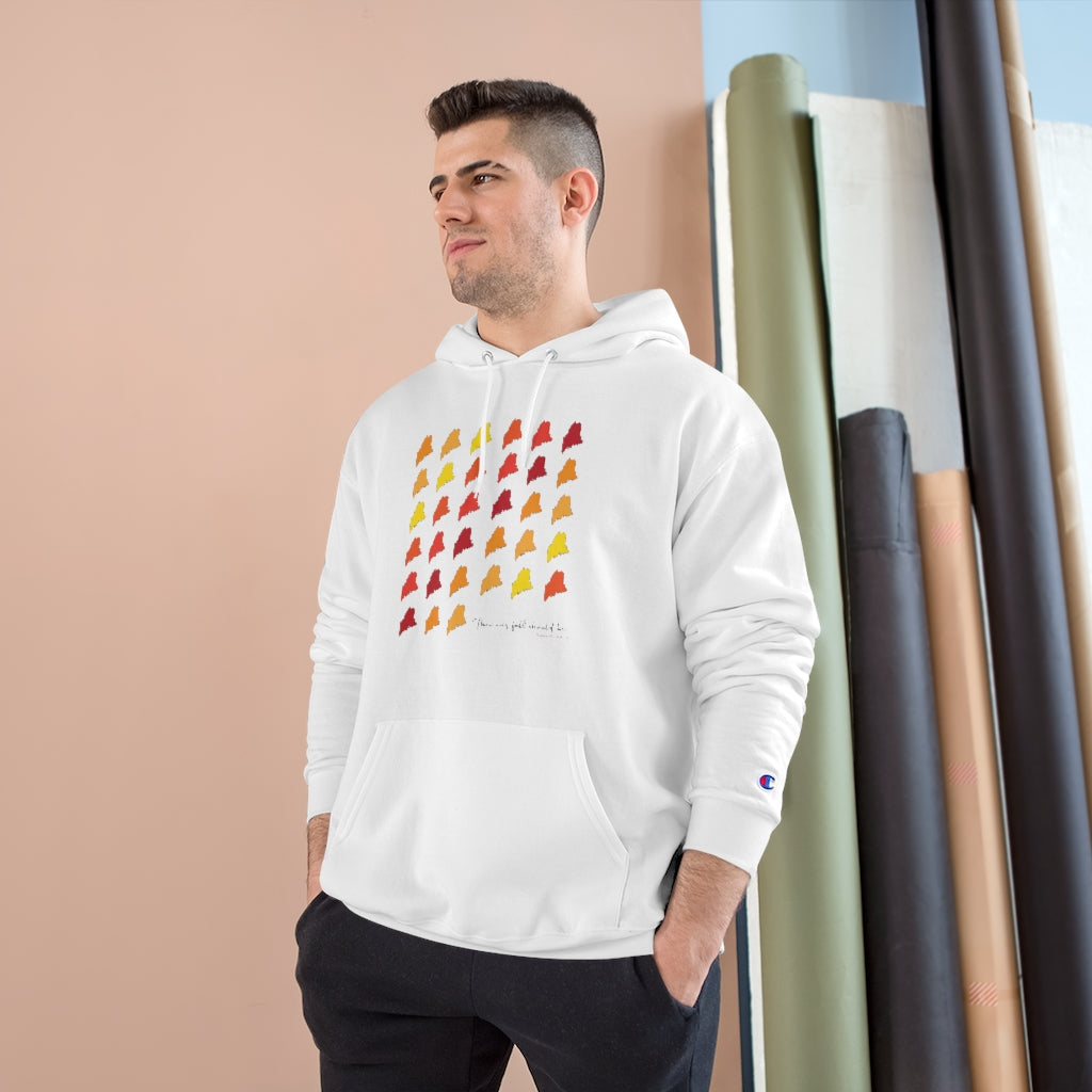 The Way Fall Should Be Do you love Maine and the fall? Do you follow the Way Life Should Be motto and believe in the Way Fall Should Be? These tee shirts, sweatshirts, stationary cards, drinkware and other gifts and souvenirs is for you. Free USA shipping on all products.