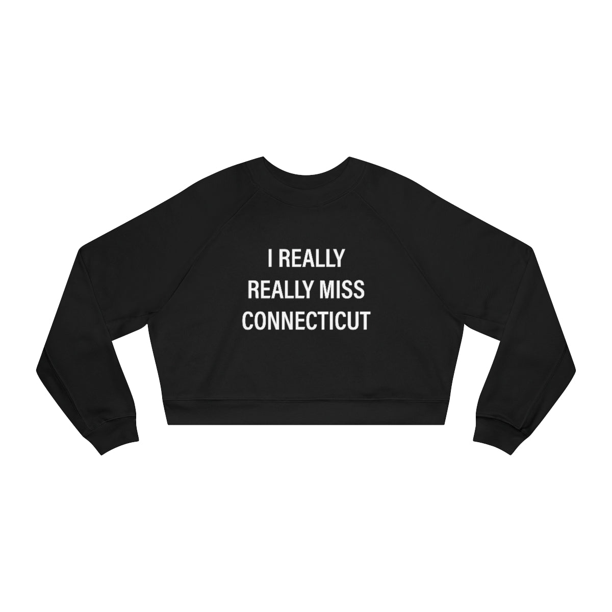 ct / connecticut womens sweatshirt