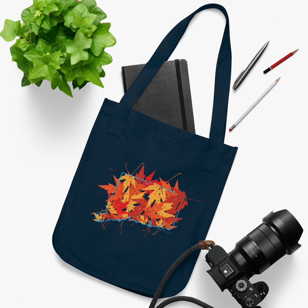 Do you love Connecticut in the fall? Cooler weather, colorful leaves falling, this collection is for you. Celebrate Connecticut and autumn together! Free USA shipping on all products.