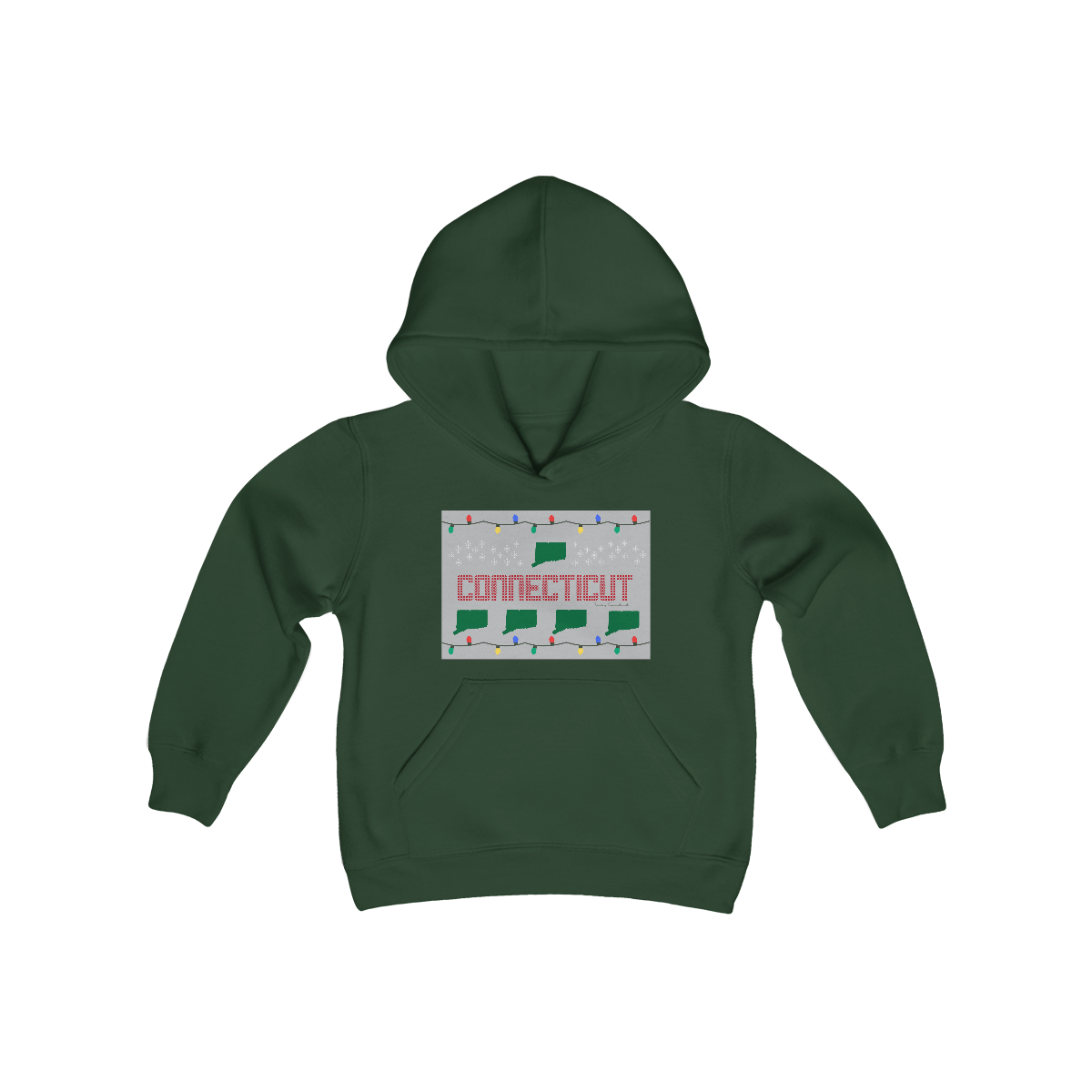connecticut youth hooded sweatshirt