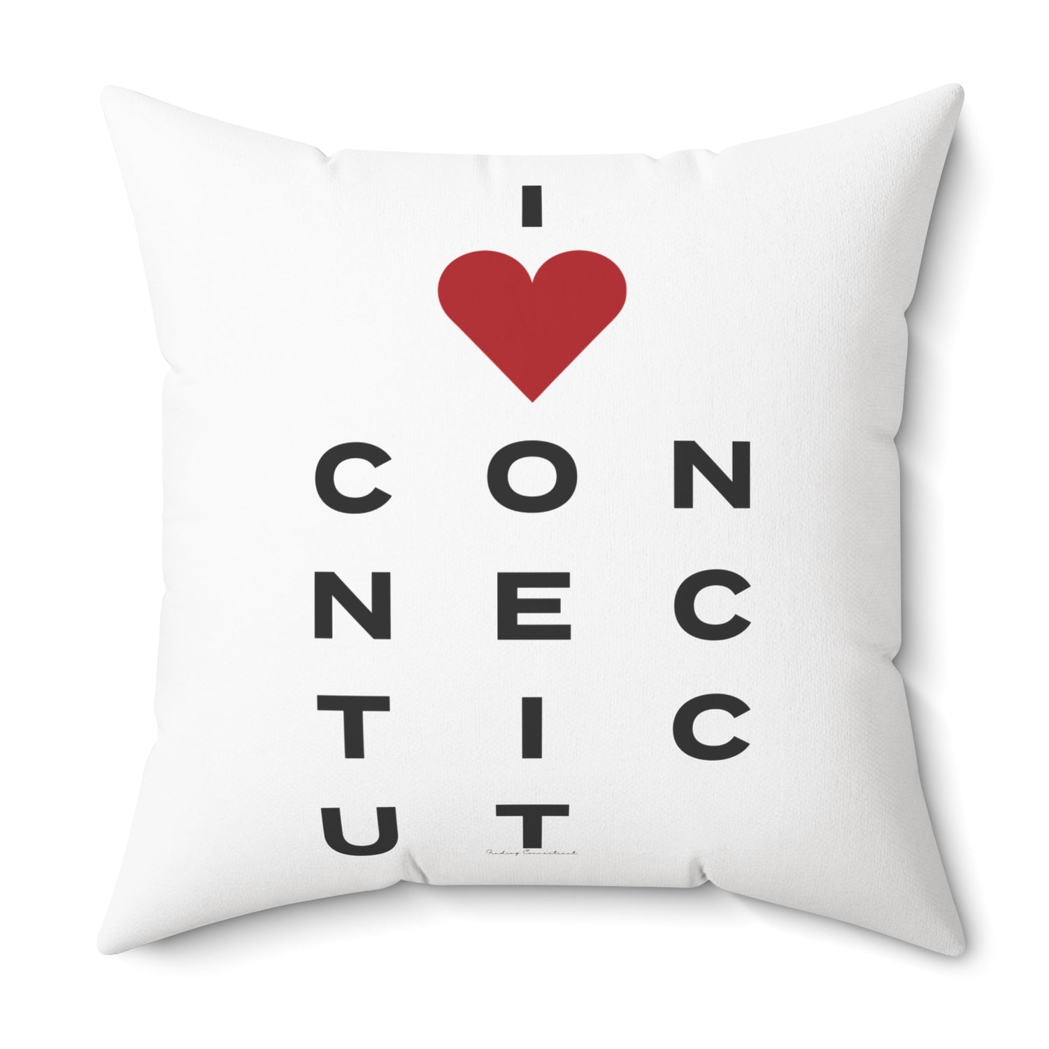 Connecticut Vision