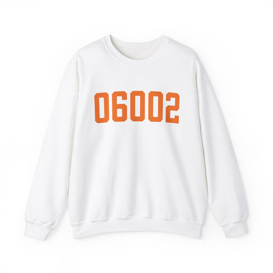 06002 - Bloomfield Connecticut Zip Code // bloomfield Connecticut unisex sweatshirt   / finding connecticut 