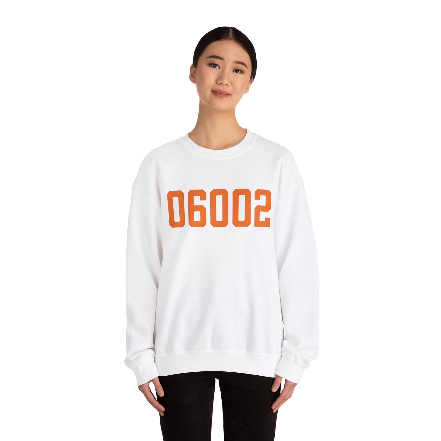 06002 - Bloomfield Connecticut Zip Code // bloomfield Connecticut unisex sweatshirt   / finding connecticut 