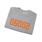 06002 - Bloomfield Connecticut Zip Code // bloomfield Connecticut unisex sweatshirt   / finding connecticut 