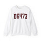 06473 - North Haven Connecticut Zip Code // north haven connecticut sweatshirt // finding connecticut 