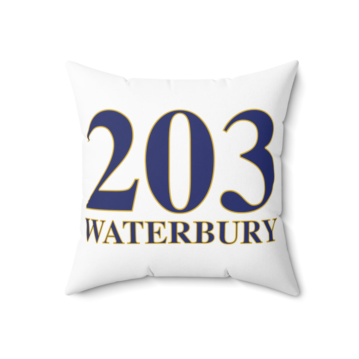 203 Waterbury Polyester Square Pillow