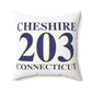 Cheshire 203 Connecticut Polyester Square Pillow