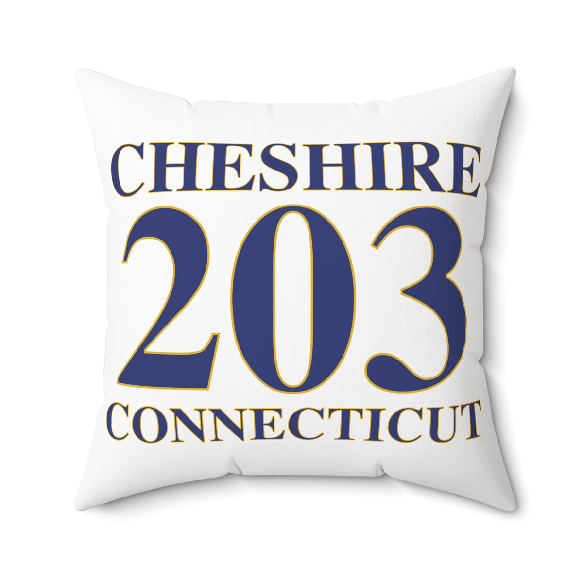 Cheshire 203 Connecticut Polyester Square Pillow