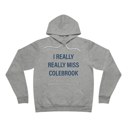 I Really Really Miss Colebrook Unisex Sponge Fleece Pullover Hoodie