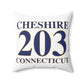 Cheshire 203 Connecticut Polyester Square Pillow