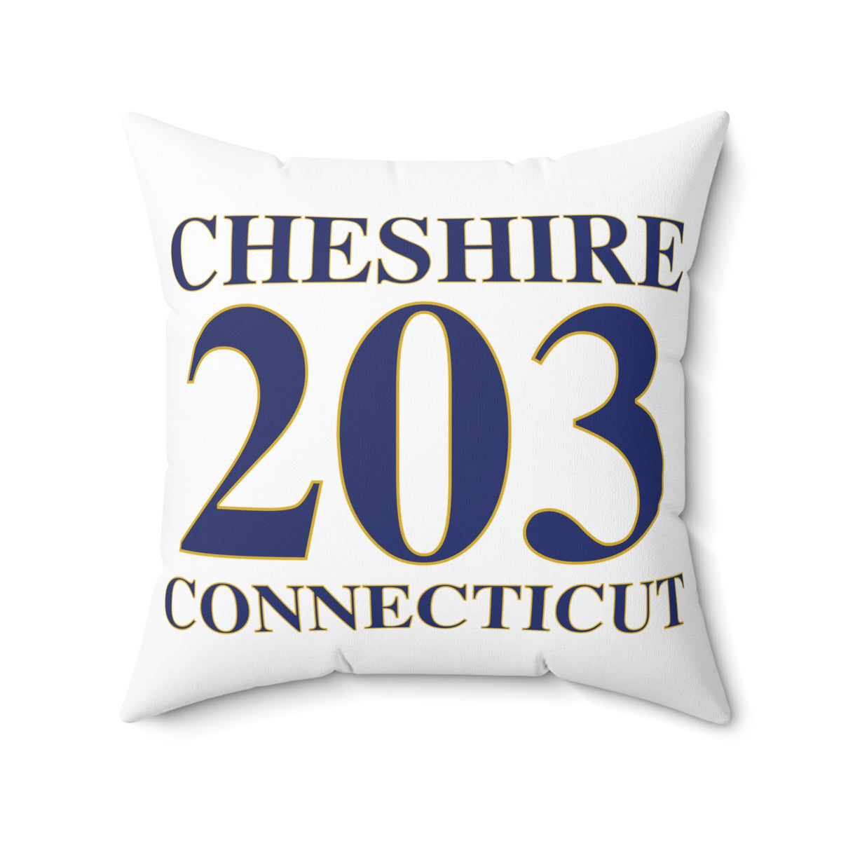 Cheshire 203 Connecticut Polyester Square Pillow