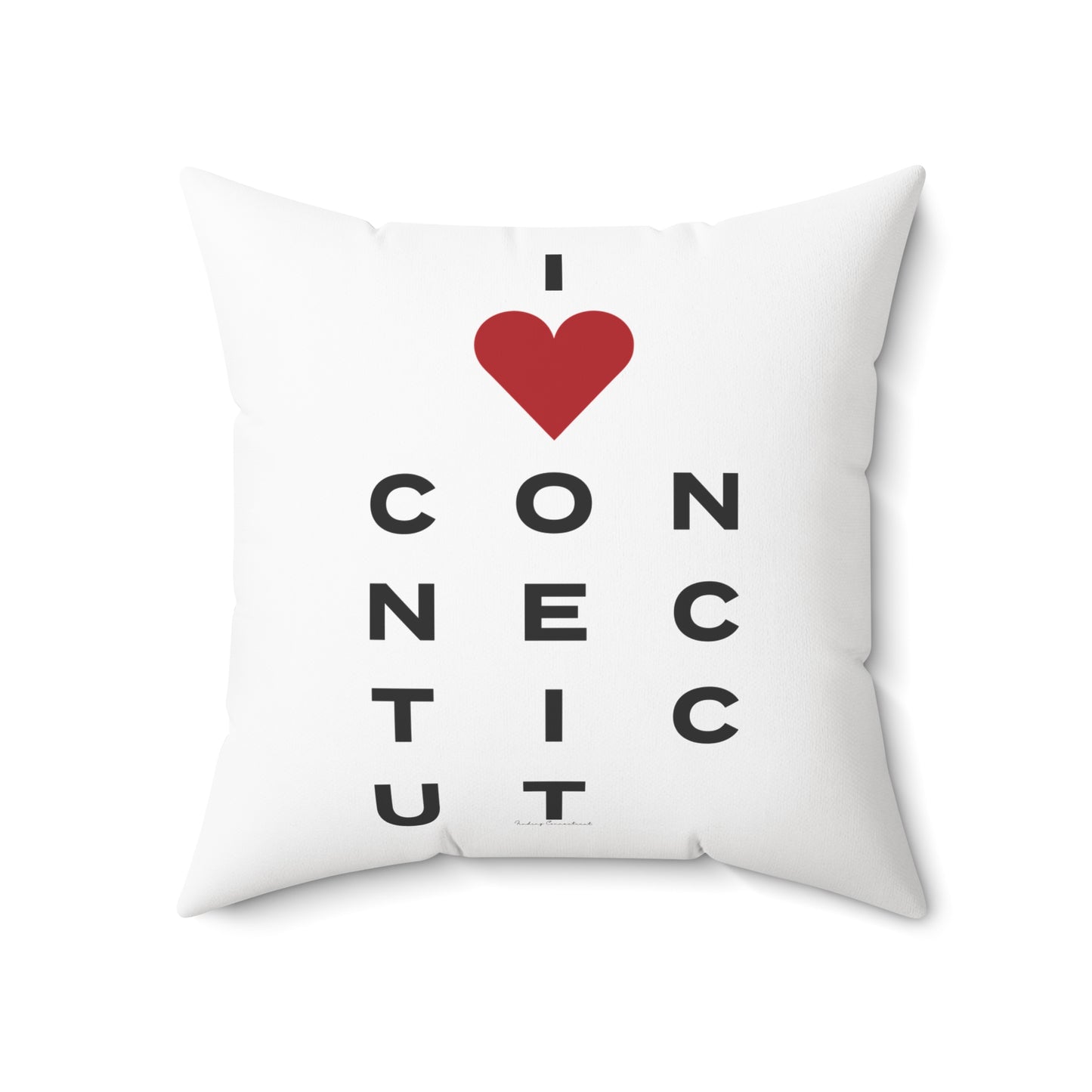 Connecticut Vision Spun Polyester Square Pillow
