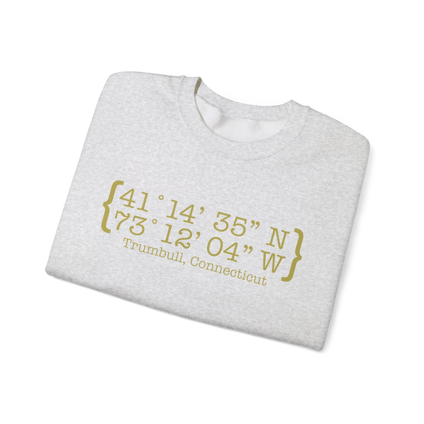 Trumbull Coordinates Unisex Heavy Blend™ Crewneck Sweatshirt