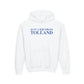 Just a kid from Tolland Youth Heavy Blend Hooded Sweatshirt