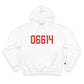 06614 - Stratford Connecticut Zip Code Champion Hoodie