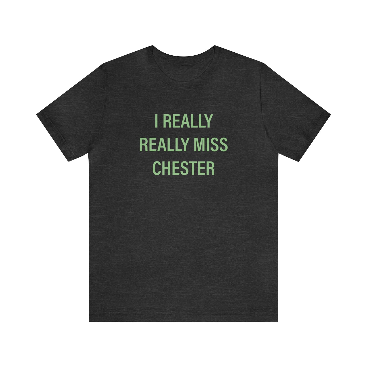 Chester Connecticut unisex shirt