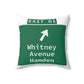 Vintage WCP Exit 61 Sign Spun Polyester Square Pillow