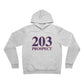 203 Prospect Red White & Blue Unisex Sponge Fleece Pullover Hoodie