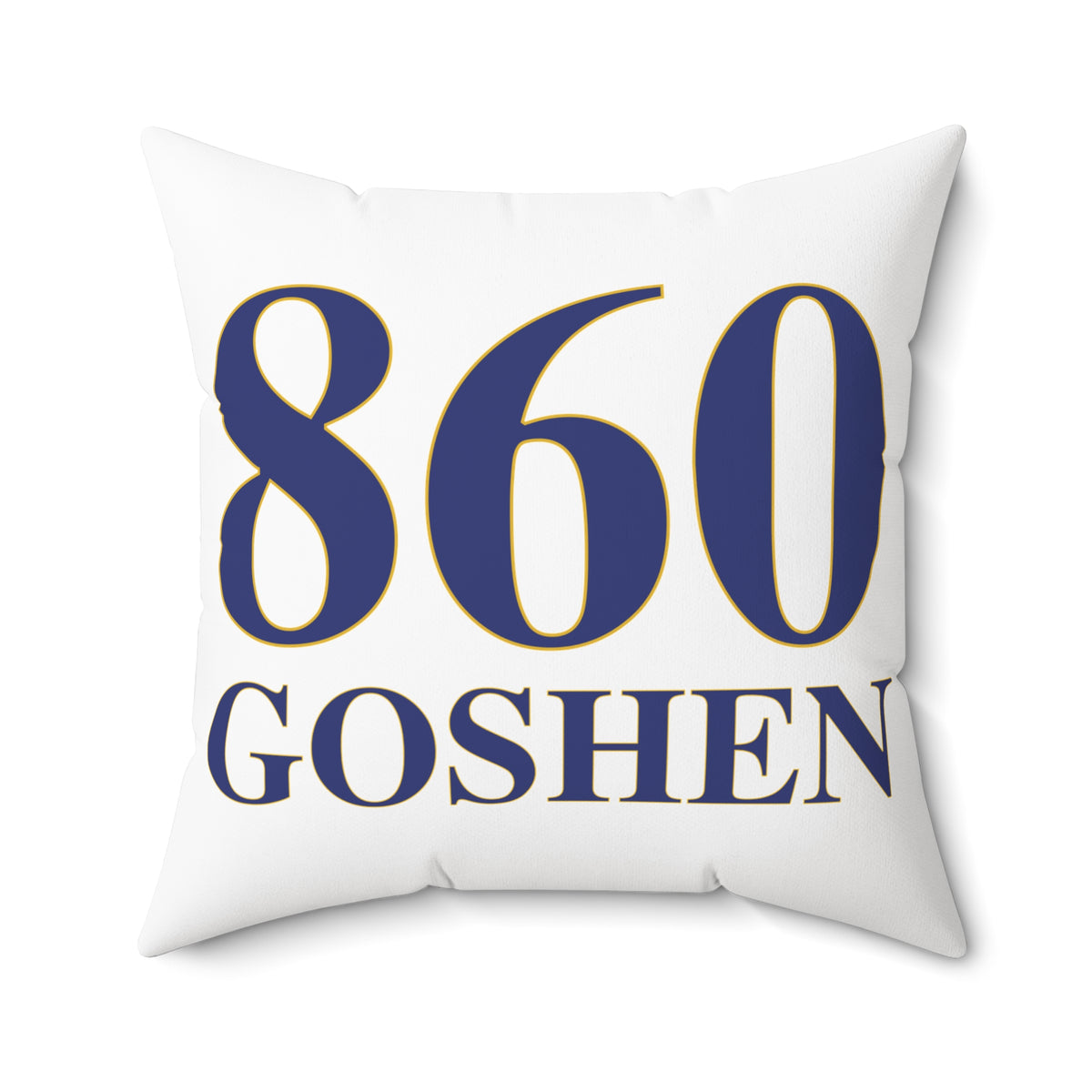 860 Goshen Polyester Square Pillow