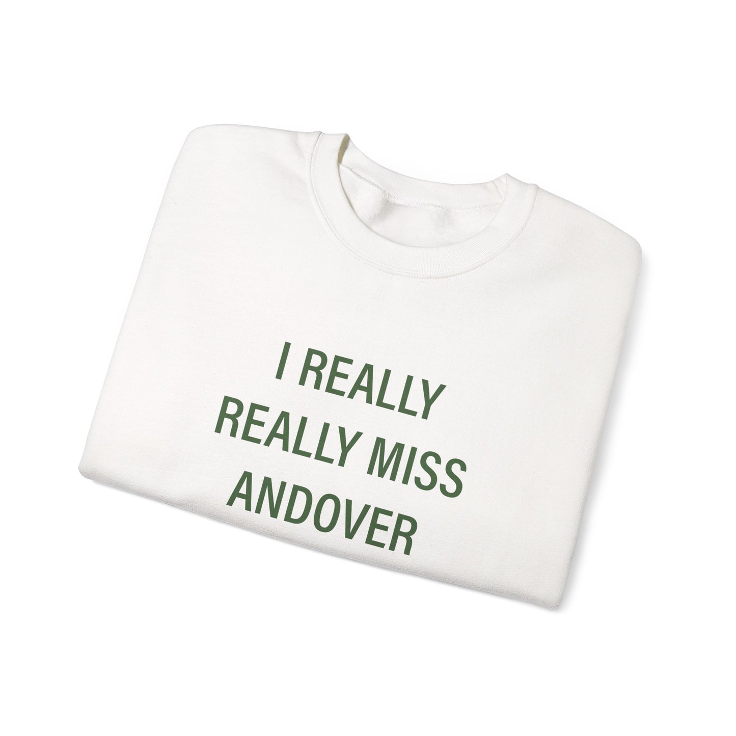 I Really Really Miss Andover Unisex Heavy Blend™ Crewneck Sweatshirt
