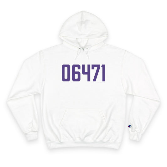 06471 North Branford Connecticut Zip Code Champion Hoodie