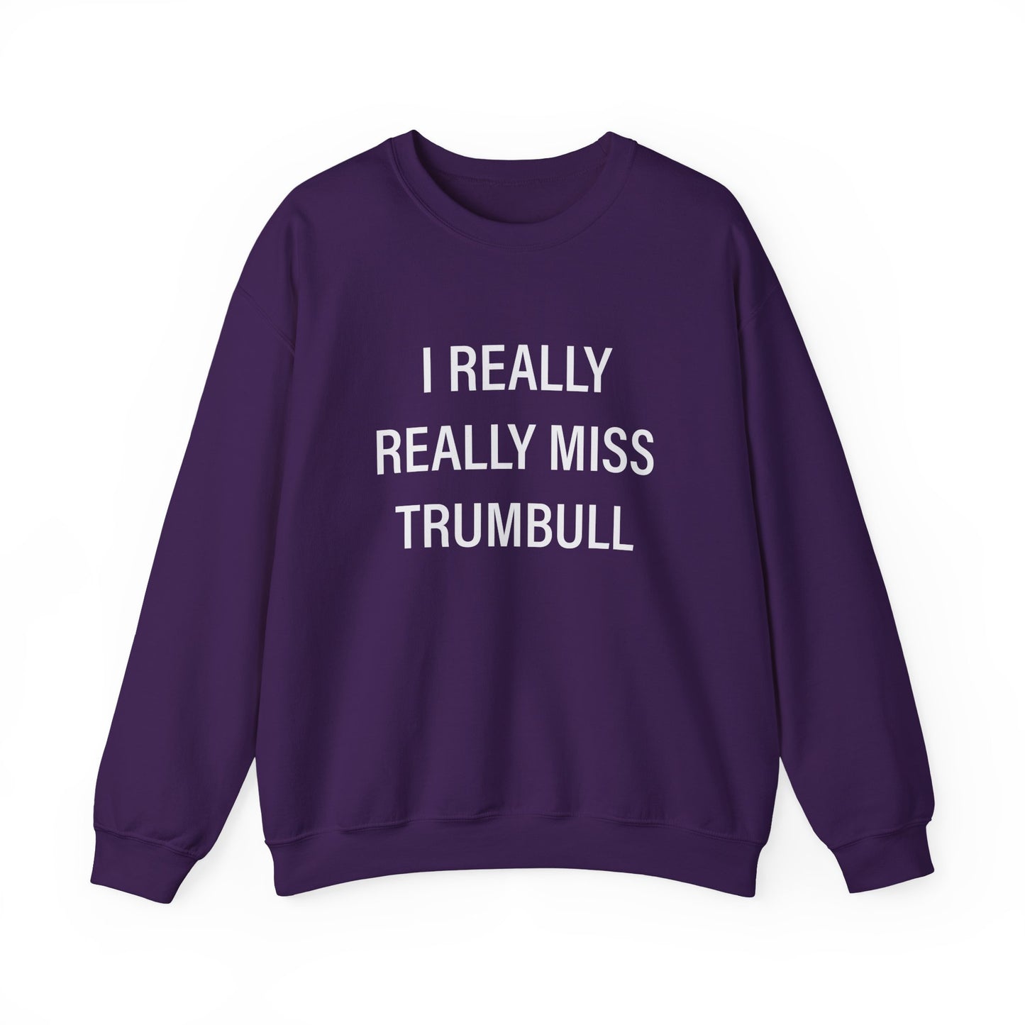 I Really Really Miss Trumbull Unisex Heavy Blend™ Crewneck Sweatshirt