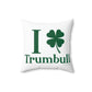 I Clover Trumbull Spun Polyester Square Pillow