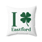 I Clover Eastford  Spun Polyester Square Pillow
