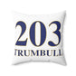 203 Trumbull Spun Polyester Square Pillow